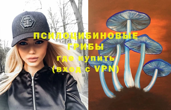 стаф Белоозёрский