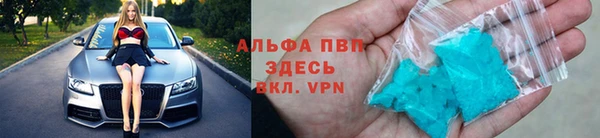 тгк Белокуриха
